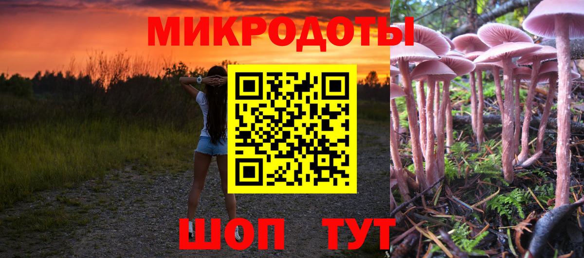 Псилоцибиновые грибы Cubensis  Вход с VPN  Ковров 